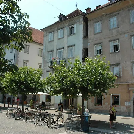 Vitez I Lublaň