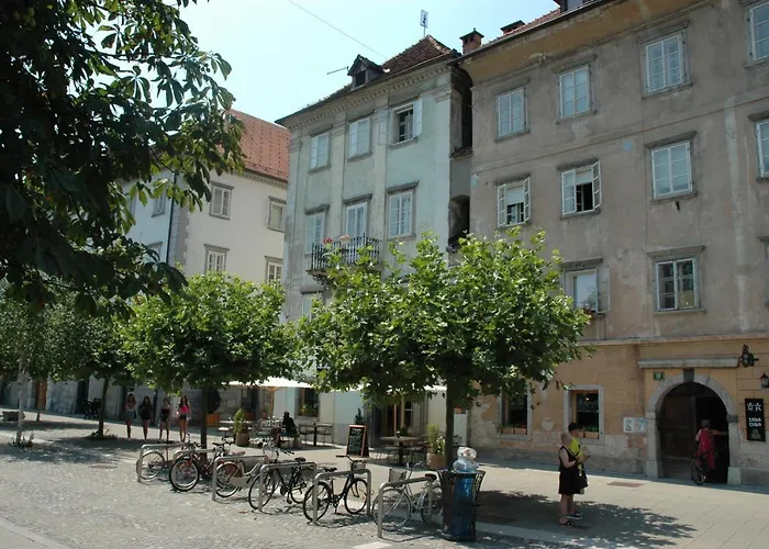 Vitez I Любляна